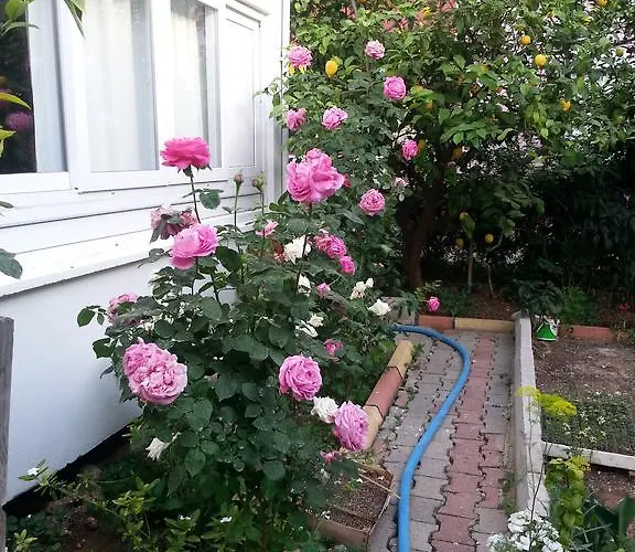 Keramos منزل للإقامة فينيقيه