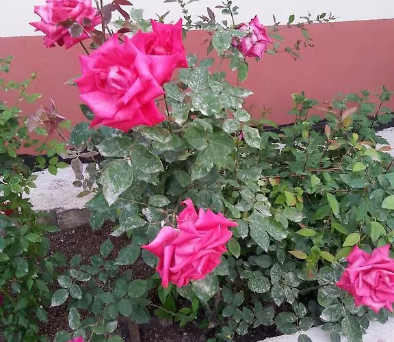 Keramos منزل للإقامة