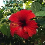 Keramos * Finike